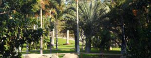Ботанический сад столицы Тенерифе получил признание ООН