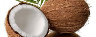 Доминикана проведет первый Фестиваль кокоса